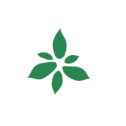 Flux Pilates logo